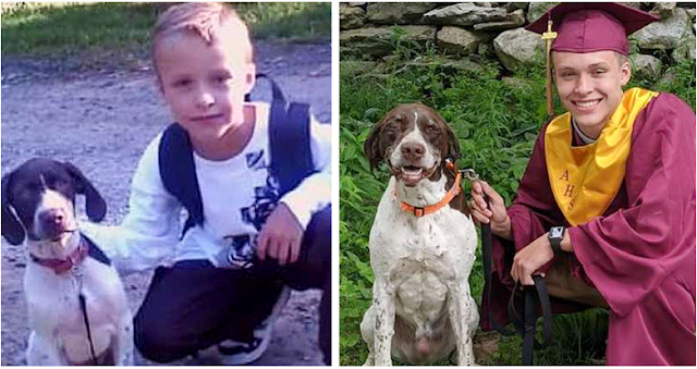 Boy Who Just Graduated And Beloved Dog Recreate Photo From First Day Of School